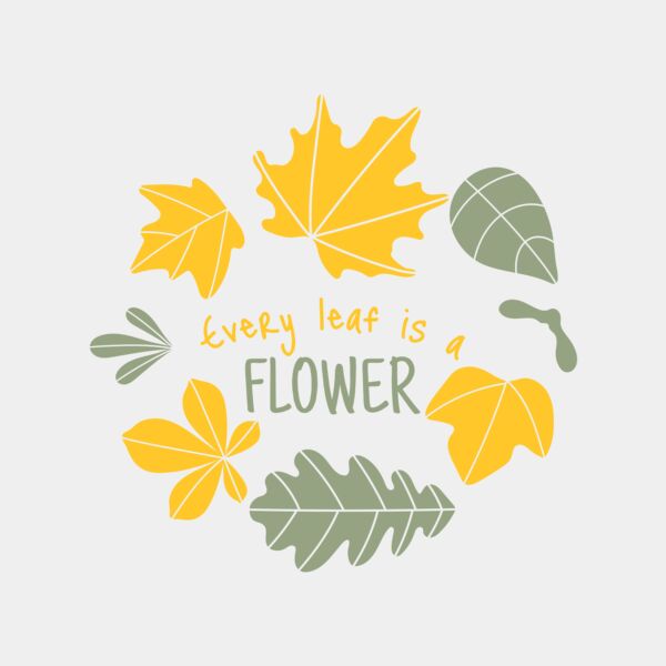 Fall Season 13 Miniaturansicht