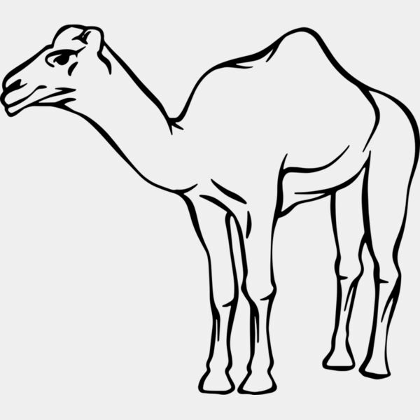 Camel   Clipart 2 Miniaturansicht
