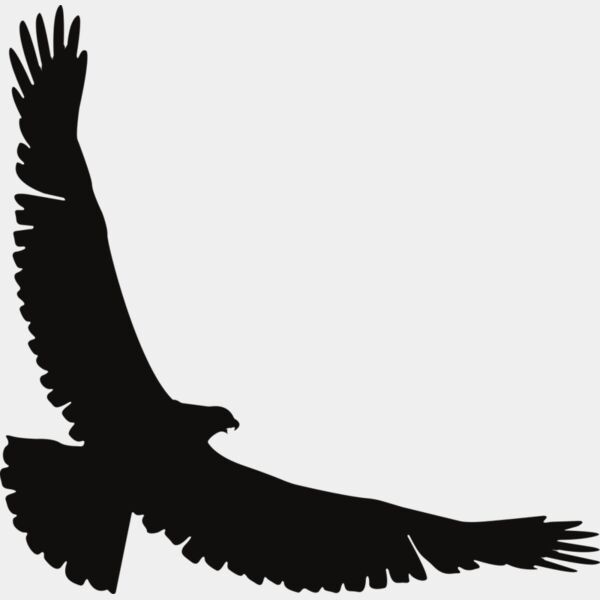 Eagle   Clipart 2 Miniaturansicht