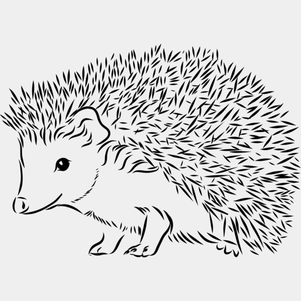 Hedgehog   Clipart 2 Miniaturansicht