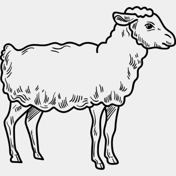 Lamb   Clipart 3 Miniaturansicht