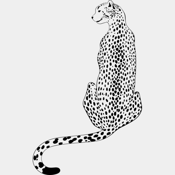 Leopard   Clipart 4 Miniaturansicht