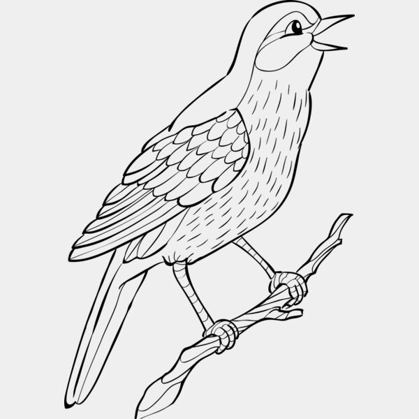 Nightingale   Clipart 2 Miniaturansicht