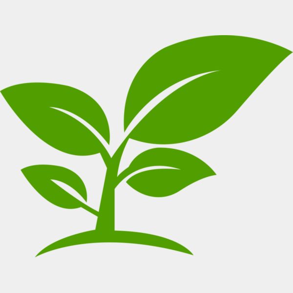 12 Leaves Miniaturansicht