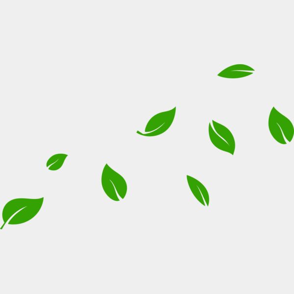 13 Leaves Miniaturansicht