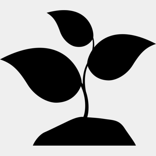 42 Plant Miniaturansicht