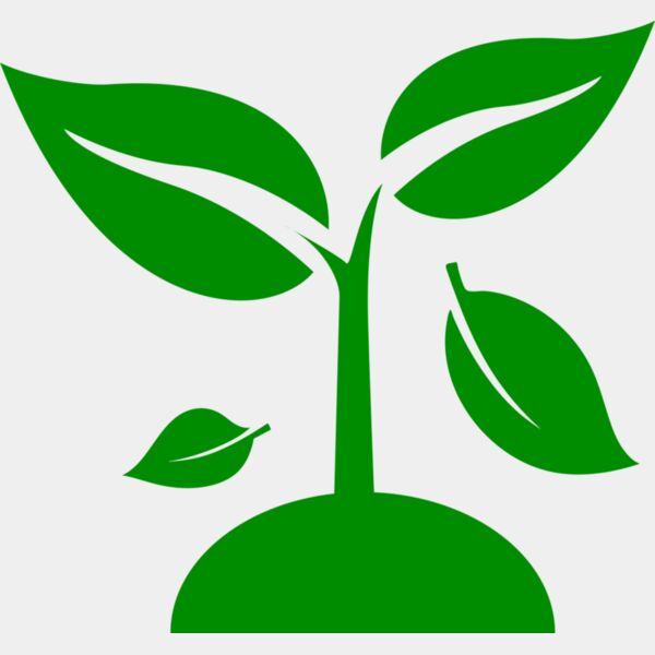 48 Plant Miniaturansicht