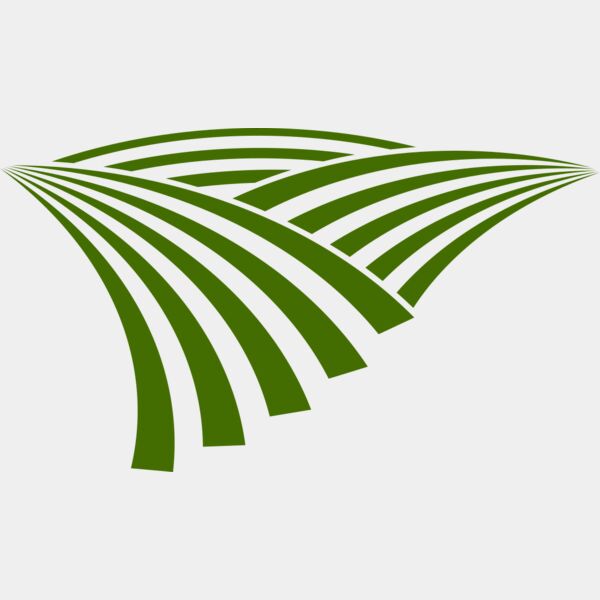 71 Rice Field Miniaturansicht