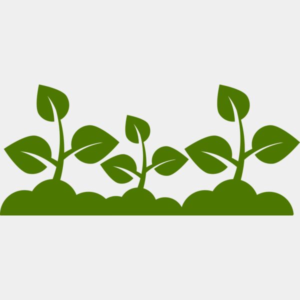 Plant Leaves Miniaturansicht