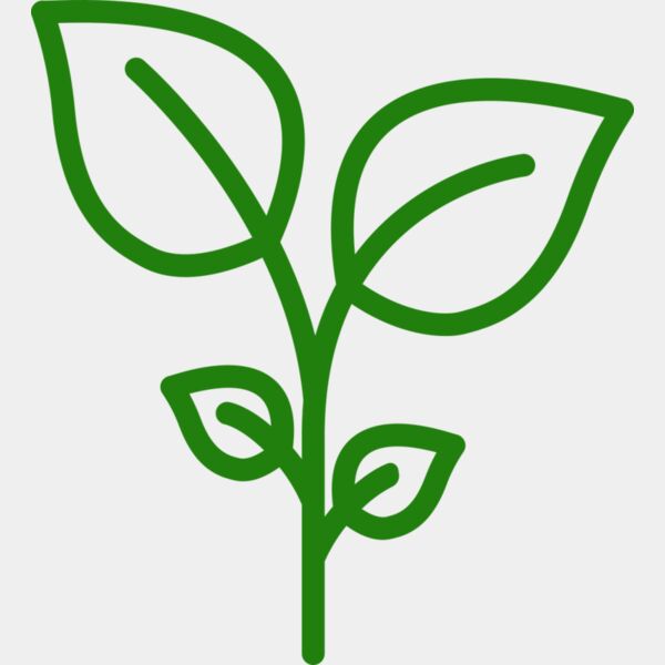 Plant Miniaturansicht