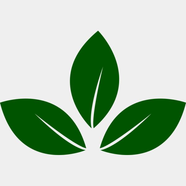 Leaves 5 Miniaturansicht