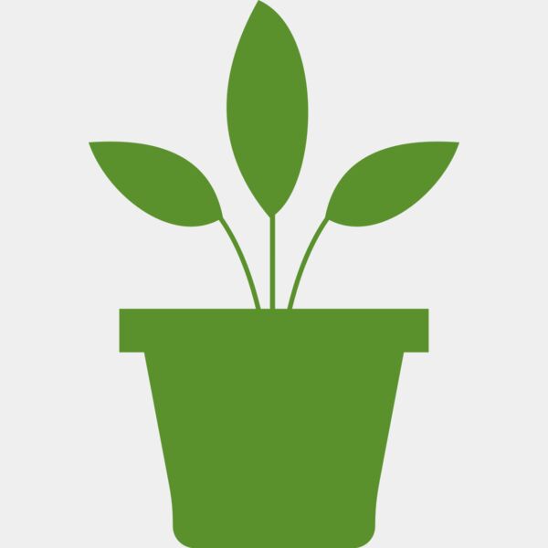 Plant 2 Miniaturansicht