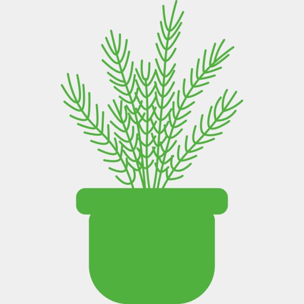 Herb Miniaturansicht