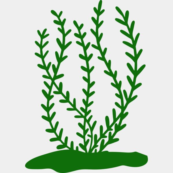 Sea Plants 3 Miniaturansicht