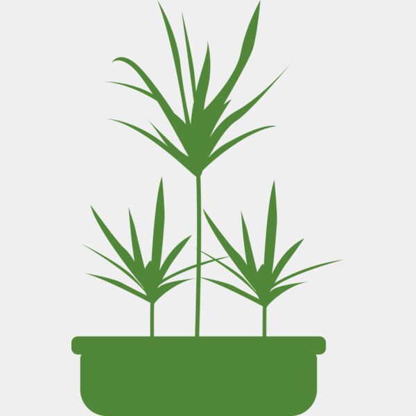 Plants 5 Miniaturansicht