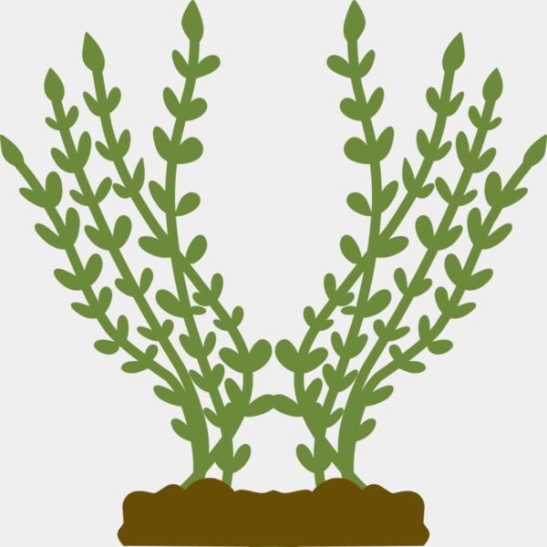 Plants 4 Miniaturansicht