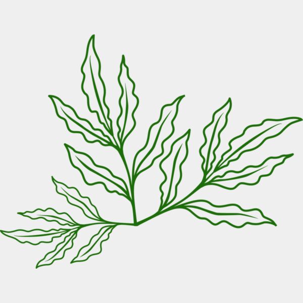 Leaves 7 Miniaturansicht