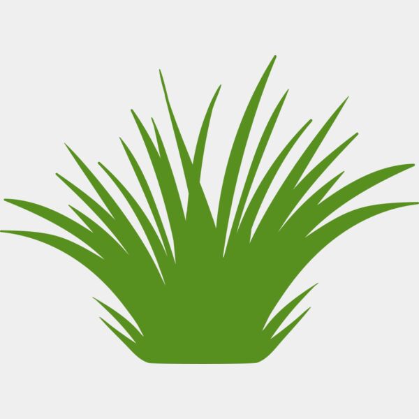 Grass 2 Miniaturansicht