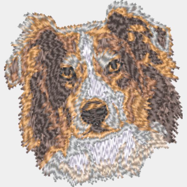 Australischer Schäferhund Kopf 3 Miniaturansicht