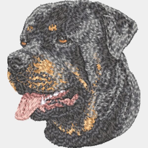 Rottweiler Kopf 4 Miniaturansicht