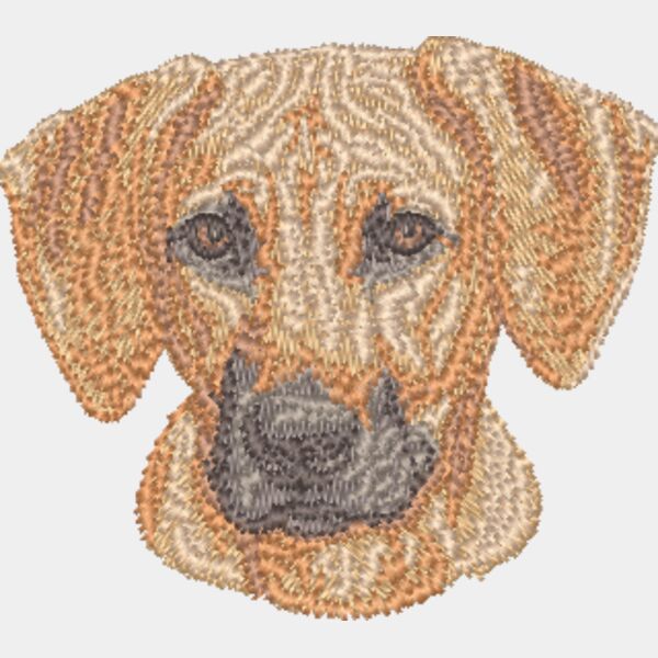 Rhodesian Ridgeback Kopf 1 Miniaturansicht