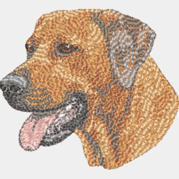 Rhodesian Ridgeback Kopf 3 Miniaturansicht