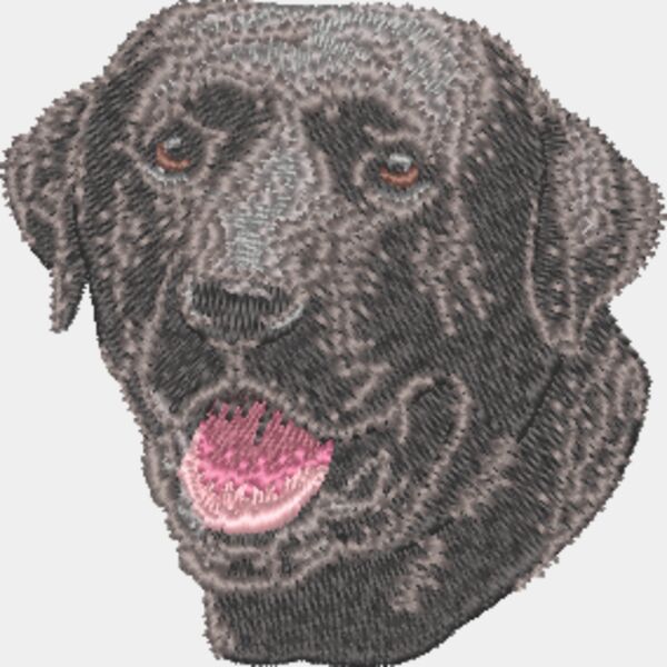 Labrador Retriever Kopf 3 Miniaturansicht