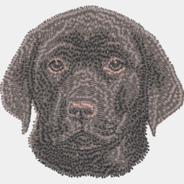 Labrador Retriever Welpe 1 Miniaturansicht