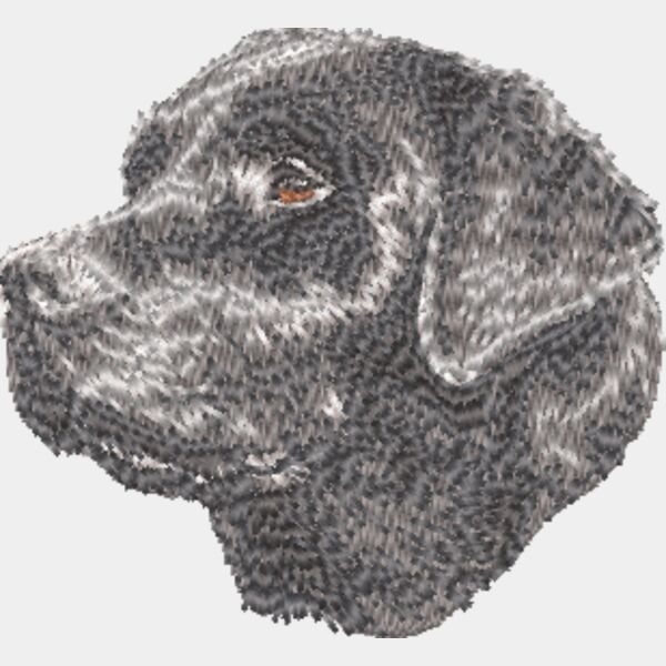 Labrador Retriever Kopf 4 Miniaturansicht