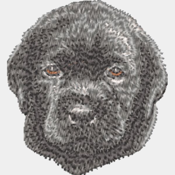 Labrador Retriever Welpe 2 Miniaturansicht