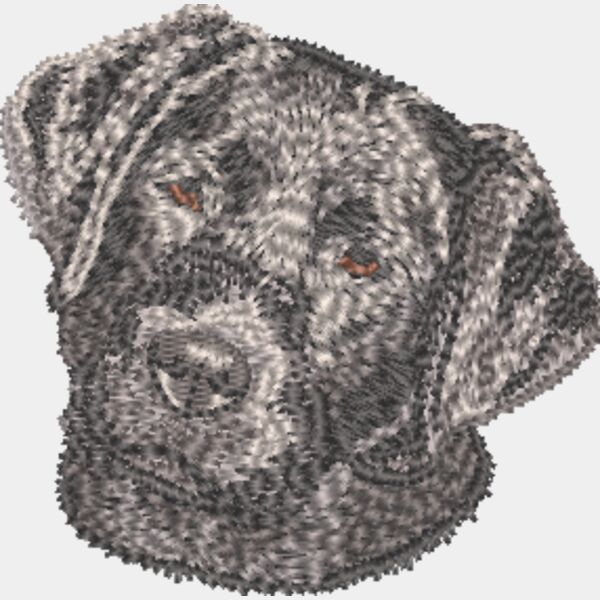 Labrador Retriever Welpe 3 Miniaturansicht