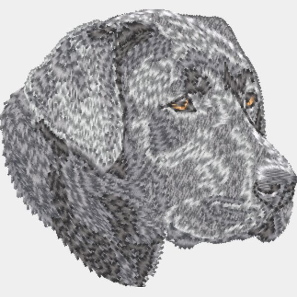 Labrador Retriever Kopf 5 Miniaturansicht