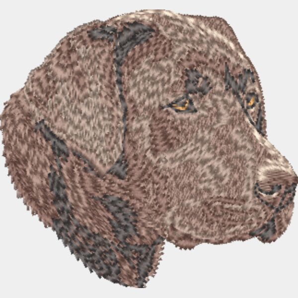 Labrador Retriever Kopf 6 Miniaturansicht