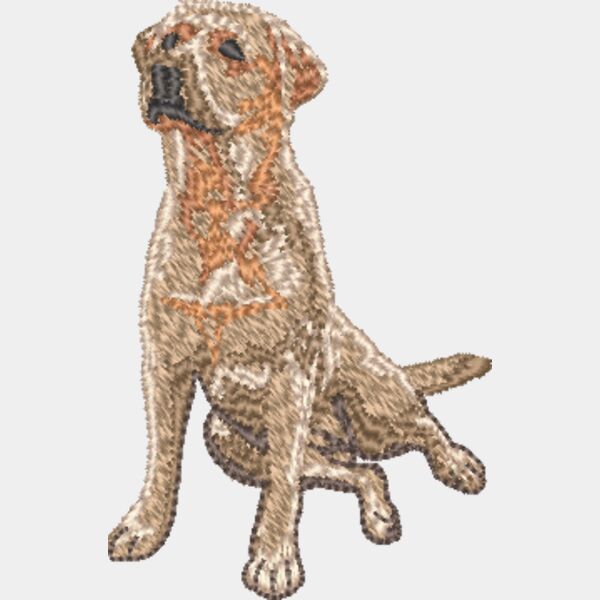 Labrador Retriever Körper 1 Miniaturansicht