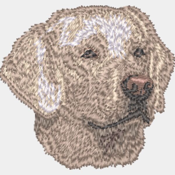 Labrador Retriever Kopf 7 Miniaturansicht