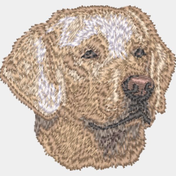 Labrador Retriever Kopf 8 Miniaturansicht