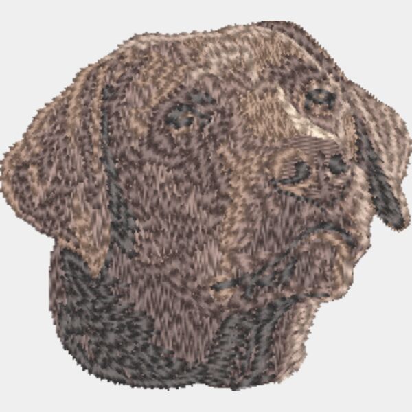 Labrador Retriever Kopf 9 Miniaturansicht