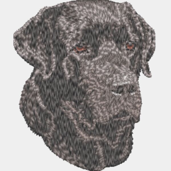 Labrador Retriever Kopf 10 Miniaturansicht