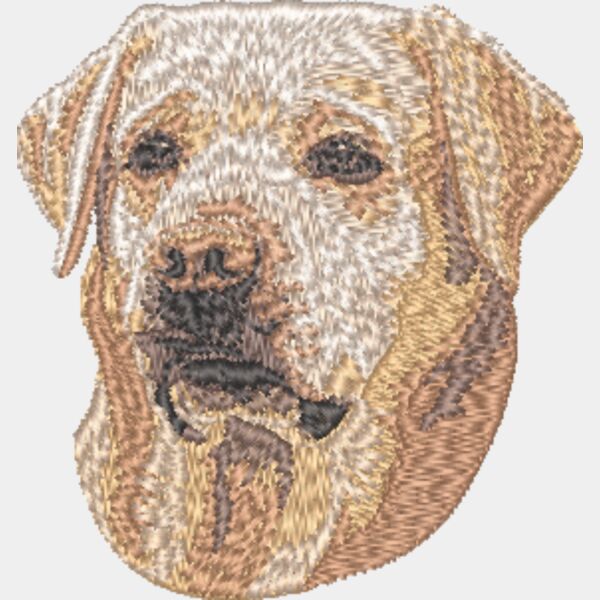 Labrador Retriever Kopf 11 Miniaturansicht