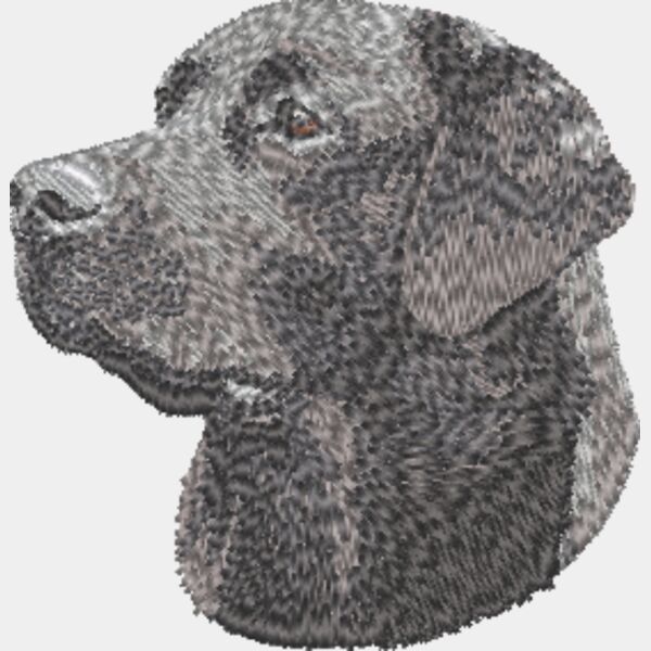 Labrador Retriever Kopf 12 Miniaturansicht