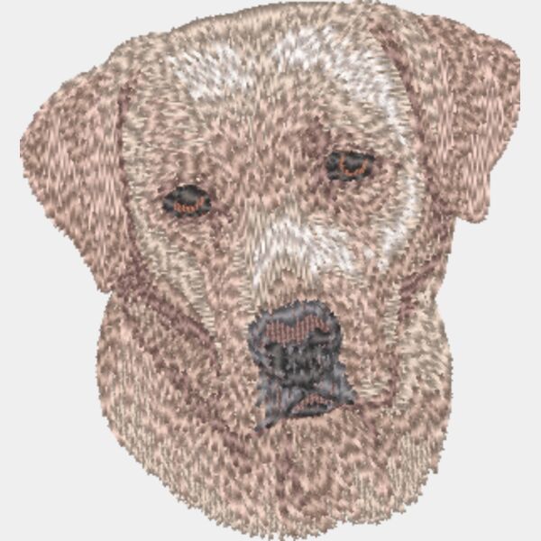 Labrador Retriever Kopf 13 Miniaturansicht