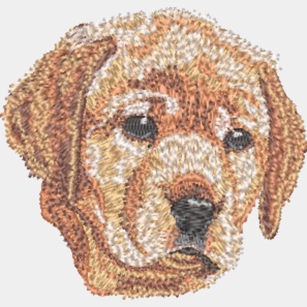 Labrador Retriever Welpe 4 Miniaturansicht