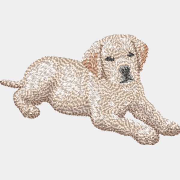 Labrador Retriever Koerper 2 Miniaturansicht