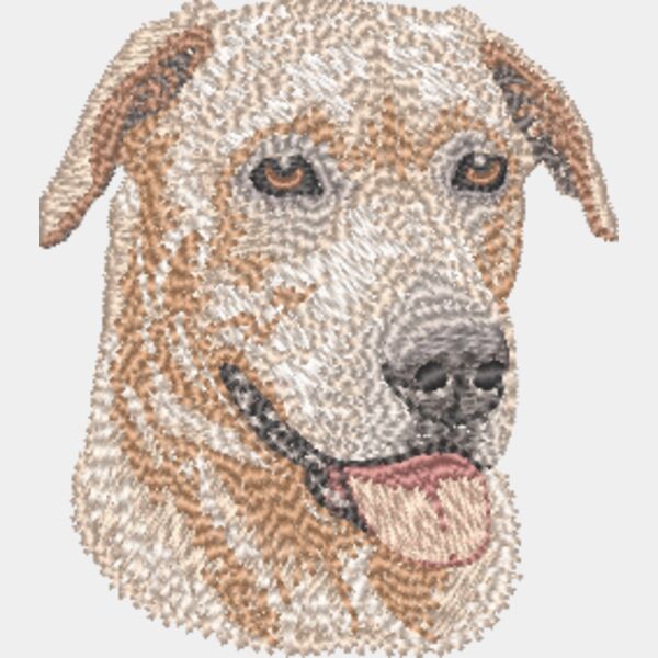 Labrador Retriever Kopf 17 Miniaturansicht