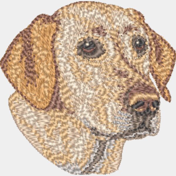 Labrador Retriever Kopf 1 Miniaturansicht