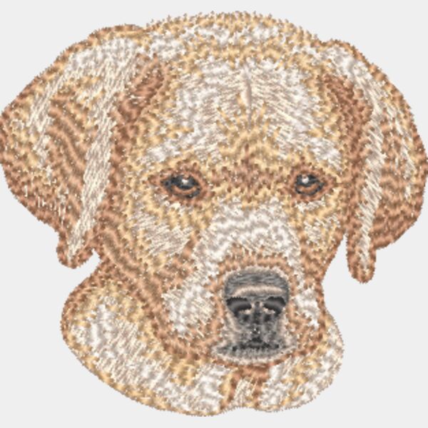 Labrador Retriever Welpe 5 Miniaturansicht