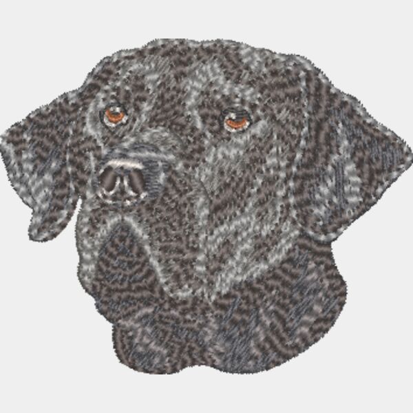 Labrador Retriever Kopf 2 Miniaturansicht