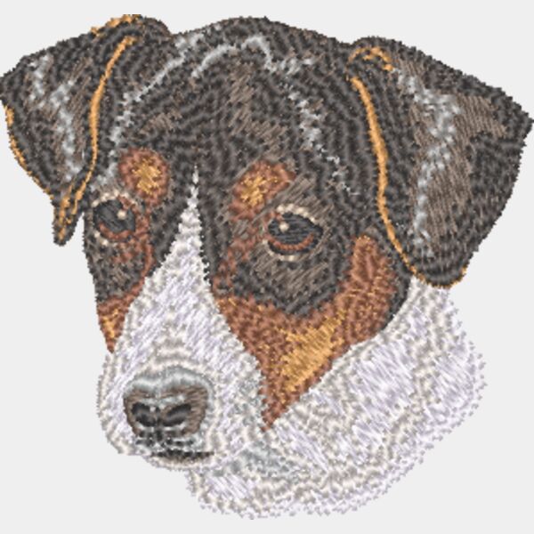 Jack Russel Terrier Kopf 4 Miniaturansicht