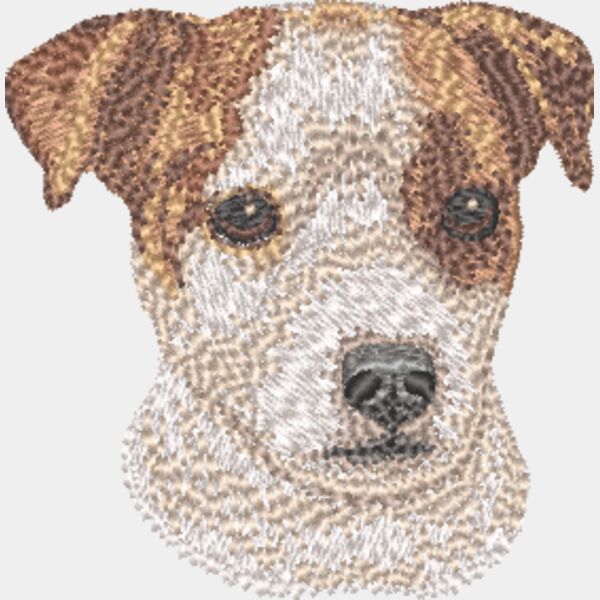 Jack Russel Terrier Kopf 6 Miniaturansicht