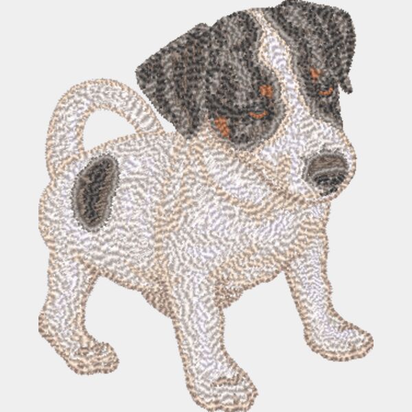 Jack Russel Terrier Körper 2 Miniaturansicht